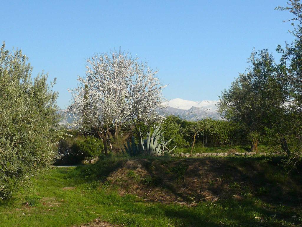 Cortijo Algabia Guest House Alhendin ภายนอก รูปภาพ